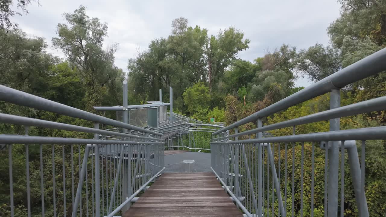 Bridge Walkway Through Green Trees