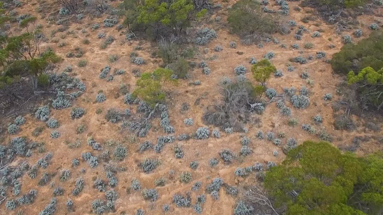 antena baja en movimiento lento sobre el paisaje interior australiano