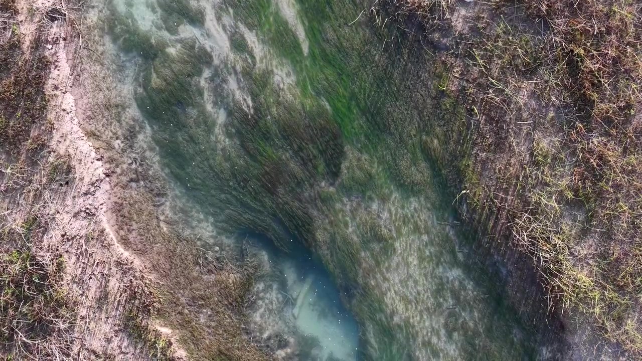Vista aerea di un fiume a Hessel, Michigan, vicino al Lago Huron, con vegetazione e acqua limpida