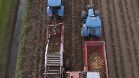 Tractors-harvesting-potato-crop-driving-side-by-side-on-farm-land-Aerial-view