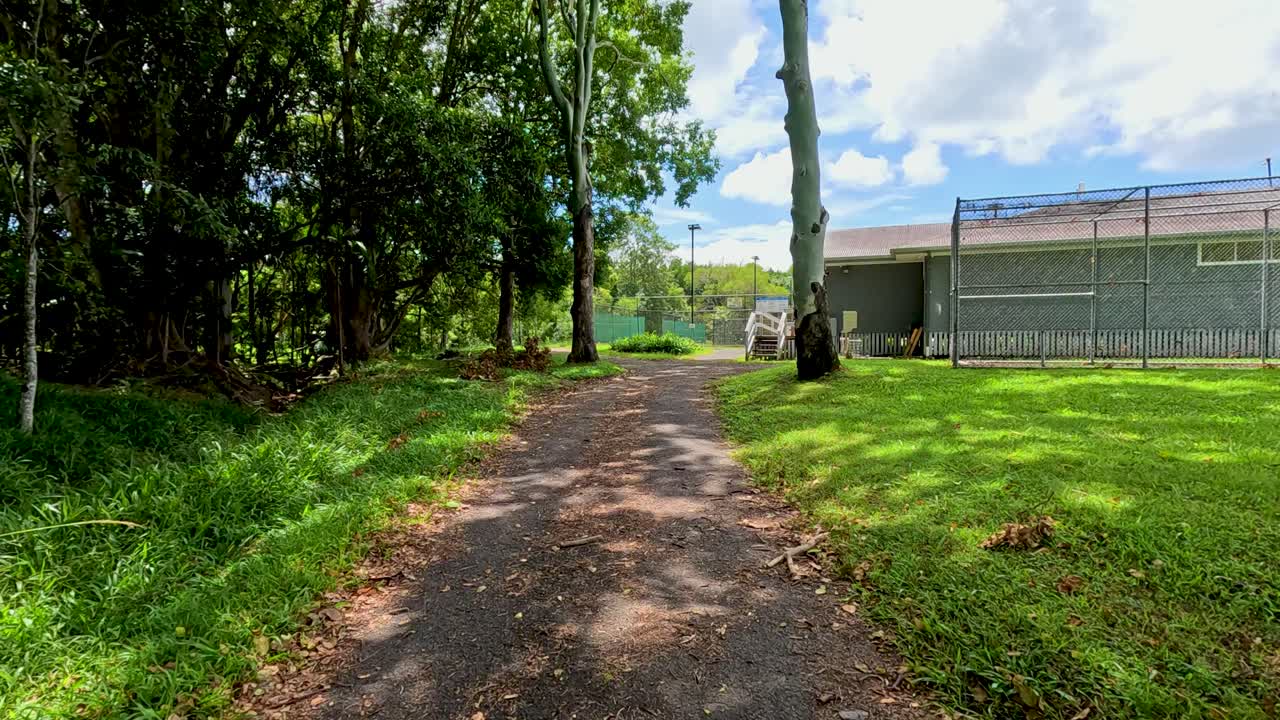 A serene walk along a tree-lined path in a sunlit park, capturing nature's tranquility and vibrant greenery