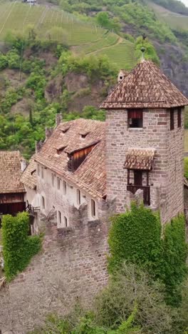 vertical drone orbit circles the fortified medieval structure of roncolo, exposing a bartizan, crenellations, and a pitched tile roof, framed by ivy and steep vineyards, slow motion