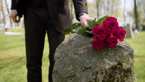 close up of an unrecognizable man in black suit walking and placing red roses on a tombstone in a graveyard