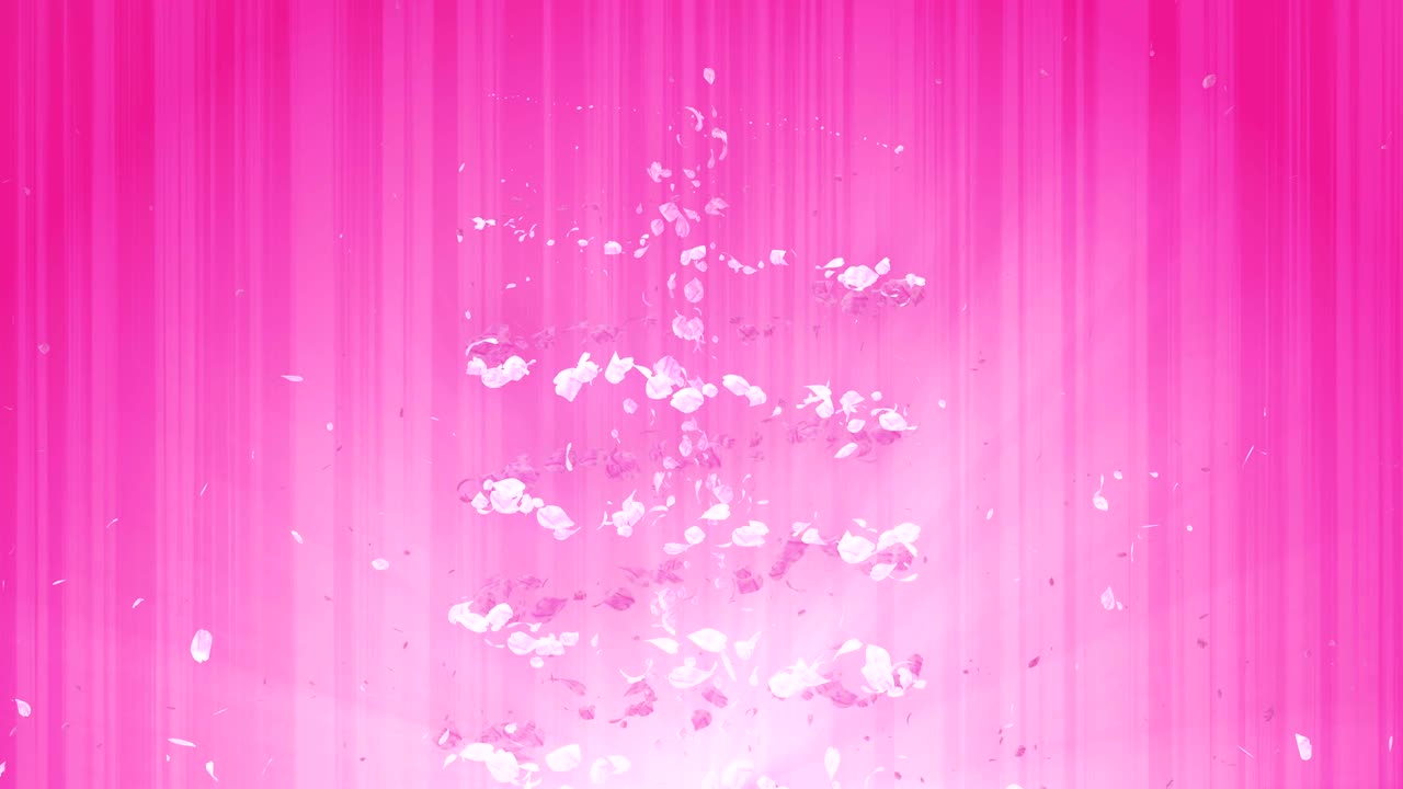 꽃의 나선형 반이는 입자, 사쿠라 패턴, 일본의 꽃 춤, 분홍색 꽃잎의 소용돌이, 추상적인 루프 애니메이션.