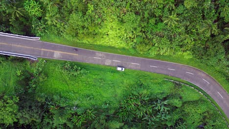 Von-Oben-Nach-Unten-Absteigende-Luftaufnahme-Eines-Motorrads,-Das-In-Einer-Grünen-Dschungelstraße-Um-Die-Ecke-Fährt