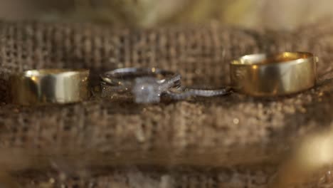 wedding rings on a wooden nest closeup shot