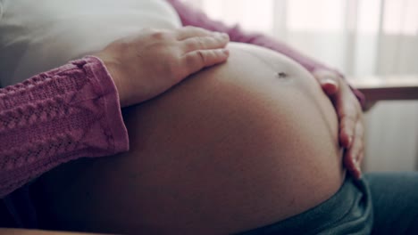 mujer embarazada feliz y esperando un bebé en casa.