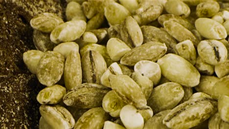 closeup of barley grains