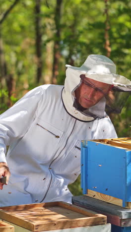 beekeeper is working with bees and beehives on the apiary. frames of a bee hive vertical video