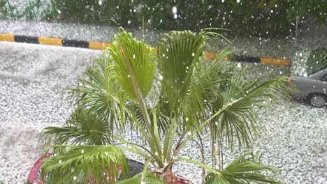 snow and hail fell in hurghada, egypt