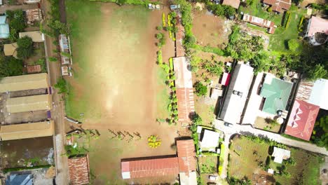 rural africa settlements, green agriculture farms, kenya houses, poor settlement africa, rural houses of kenya