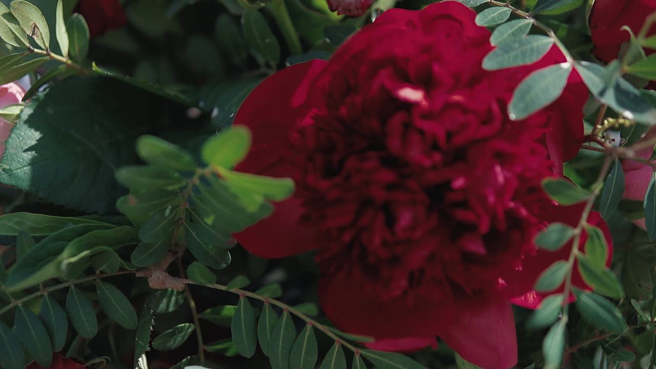 una joven decora con flores el arco antes de la boda de los recién casados