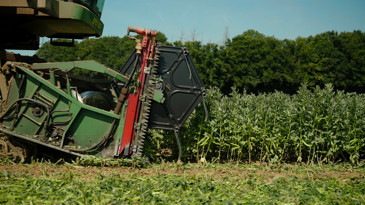gran tractor agrícola que corta los cultivos de temporada en el campo durante el día