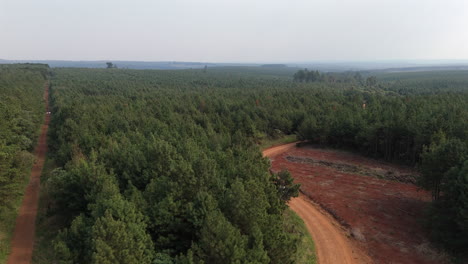 a car travels on a dirt road through dense forest patches of land, environmental and human effects