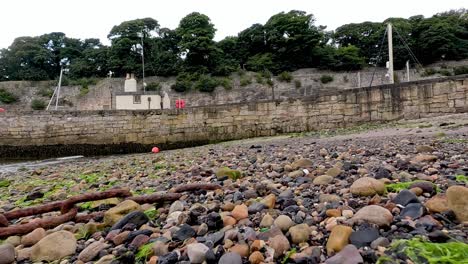 pebble-strewn beach with dock and greenery