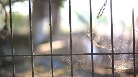 la jaula del perro que está oxidada y tiene telas de araña