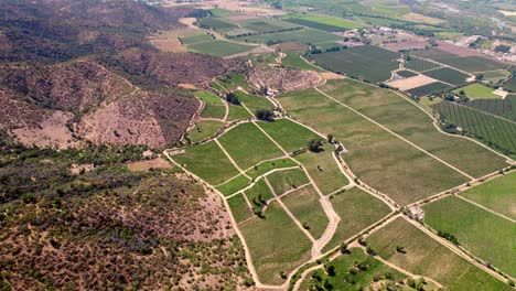 aerial establishing shot of multiple geometric vineyards and orchards in cachapoal valley