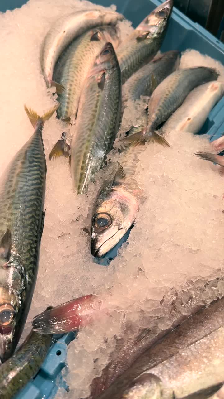 시장에서 얼음에 담긴 신선한 물고기