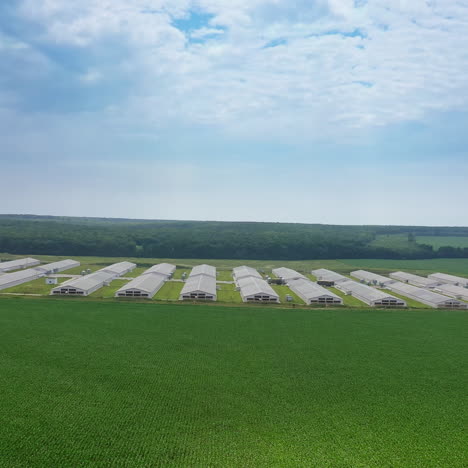 side view to the huge modern farm outdoors. modern farming complex surrounded by green fields in a summer day. drone view.