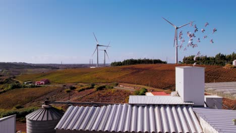 Drone-Moviéndose-Lentamente-Hacia-Los-Lados-En-Una-Zona-Rural-En-Torres-Vedras,-Portugal