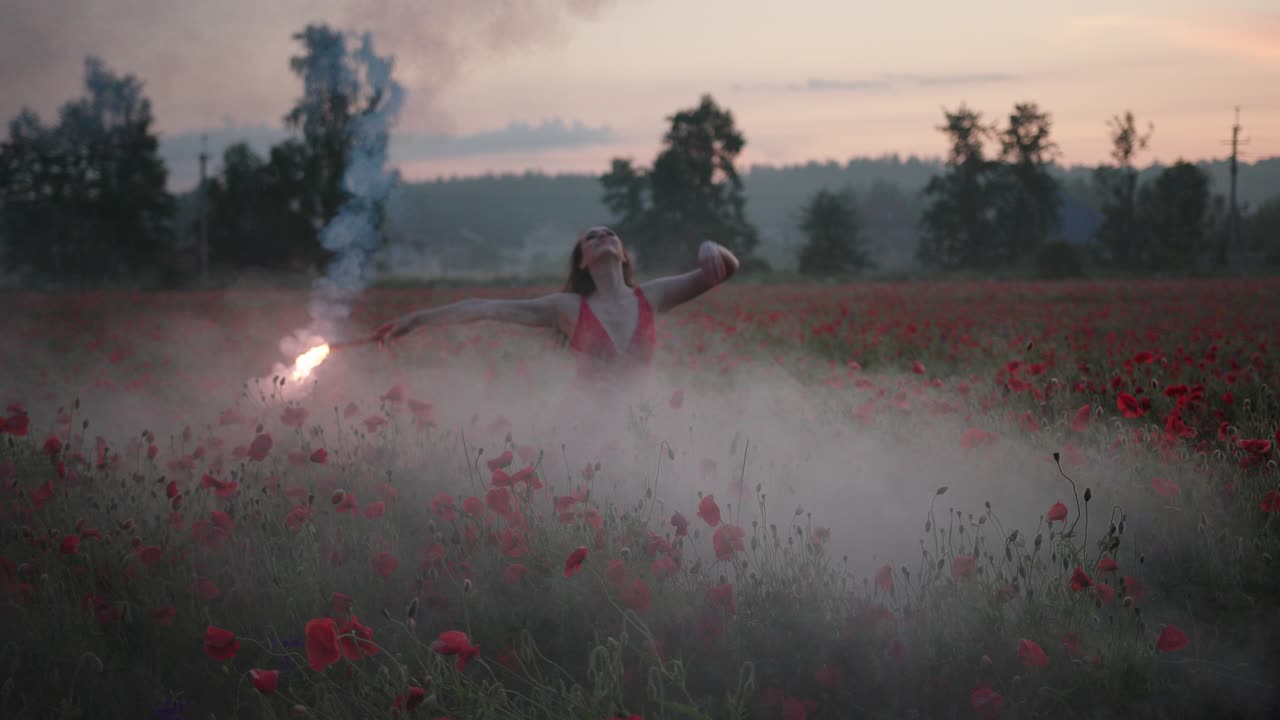 은 드레스를 입은 예쁜 갈색 소녀의 초상화 팝피 필드에서 빨간 불타는 신호 플레어와 함께 춤을 추고