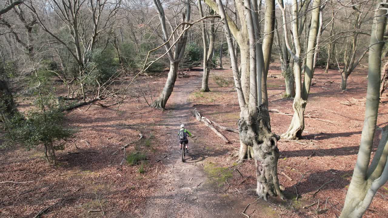 Drone tracking Mountain bike  through tree canopy downhill