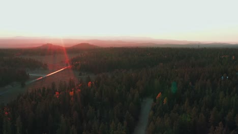 aerial view of a forest at sunset