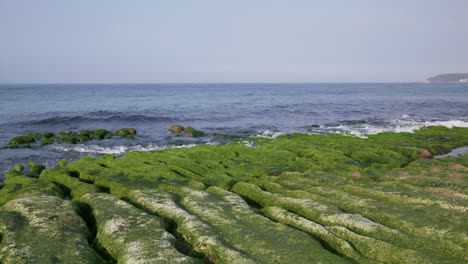 beautiful seascape with green rocks