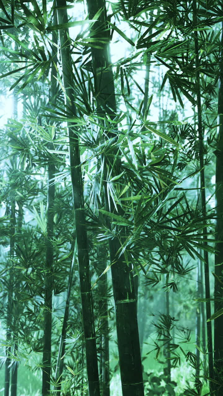 la luz del sol filtrándose a través de un denso bosque de bambú