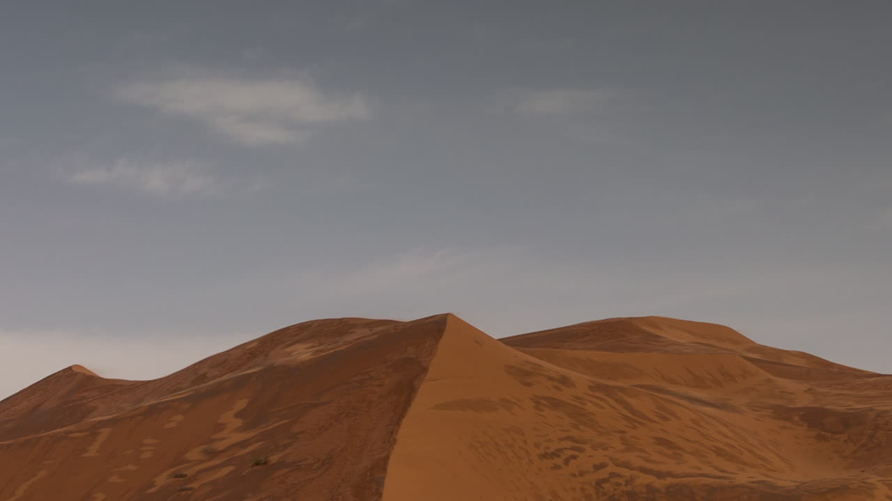 Merzouga Palma 14