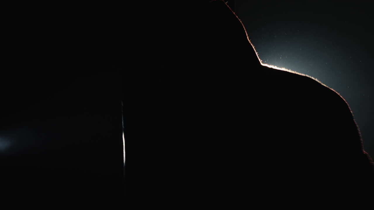 권투 선수의 실루엣 2