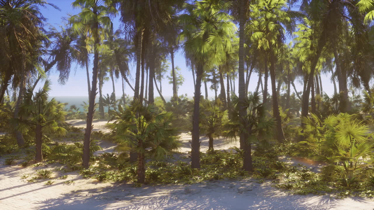 Palm Trees on a Tropical Beach