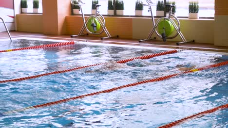 indoor swimming pool with swimmers