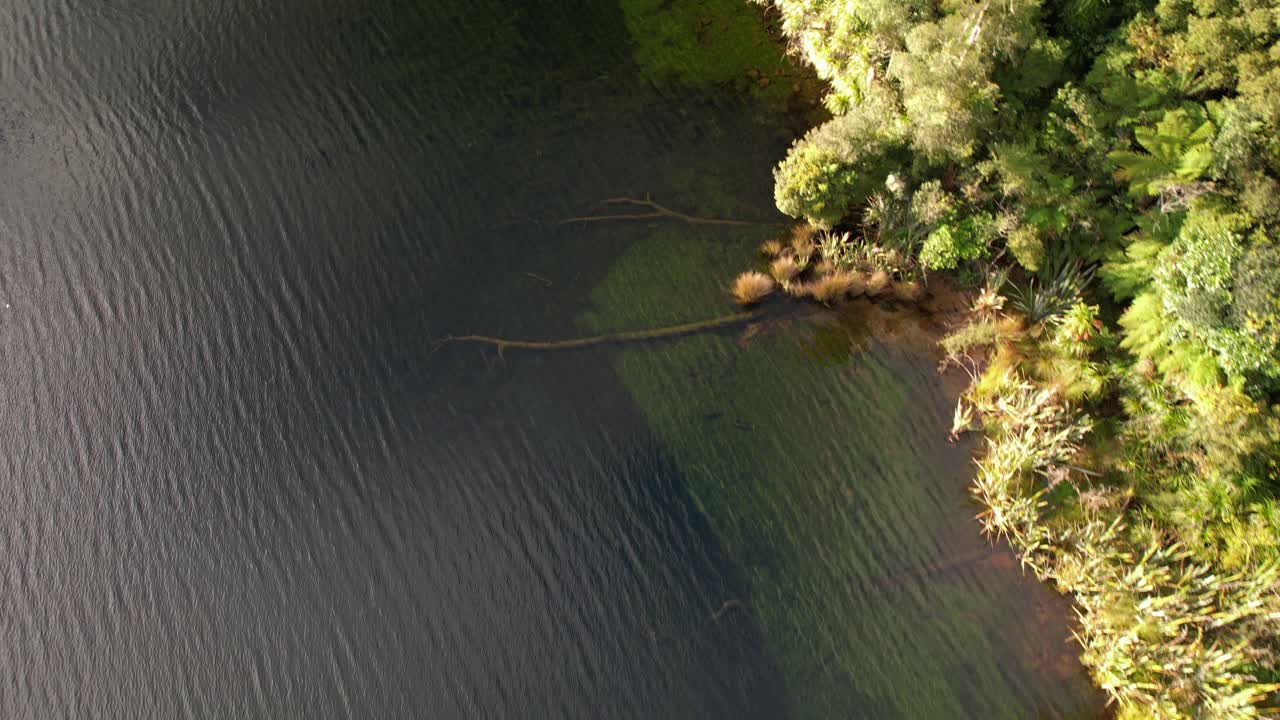 Aerial View Of Calm Lake Ianthe With Dense Sunlit Forest. West Coast Of New Zealand's South Island. topdown shot
