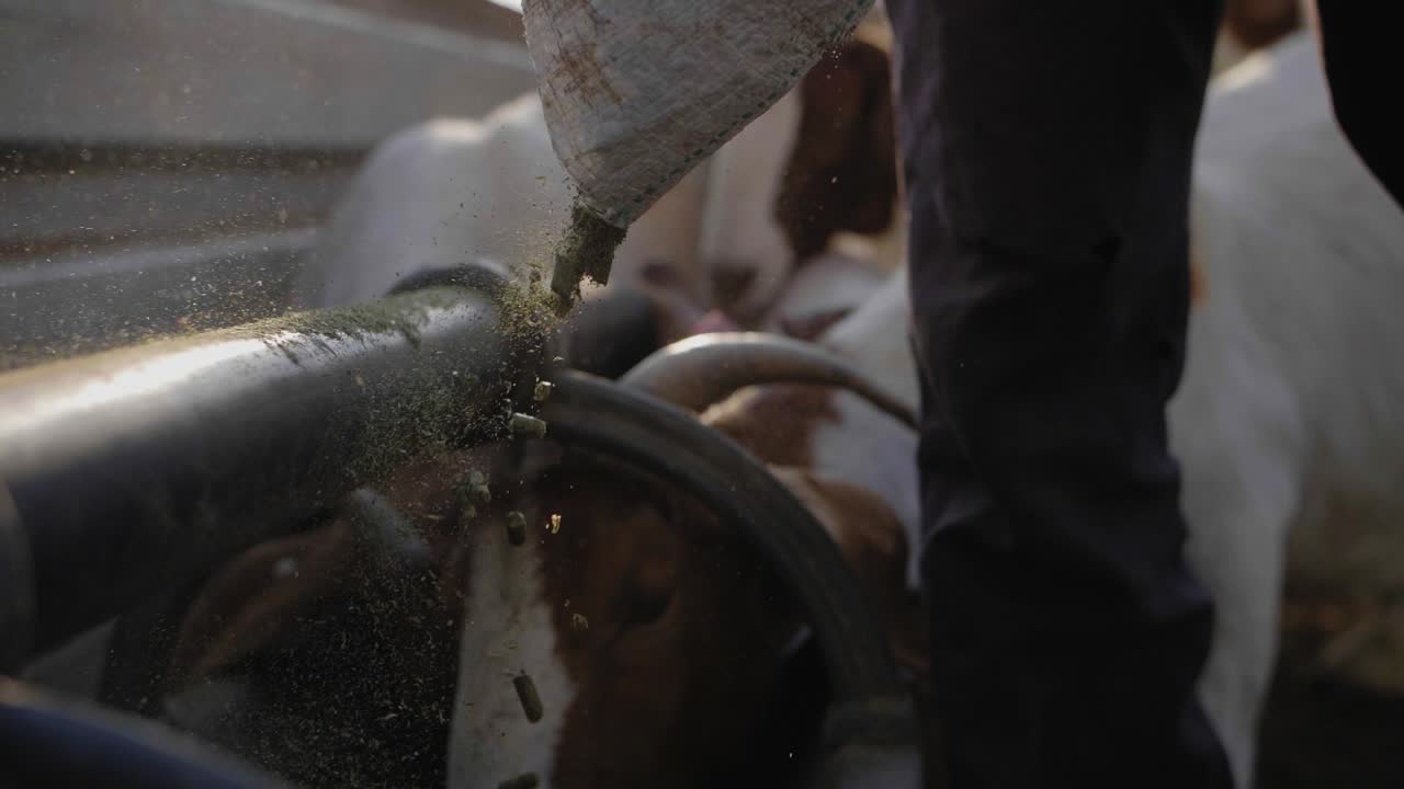 Primo piano di pellet di mangime per capre versati al rallentatore