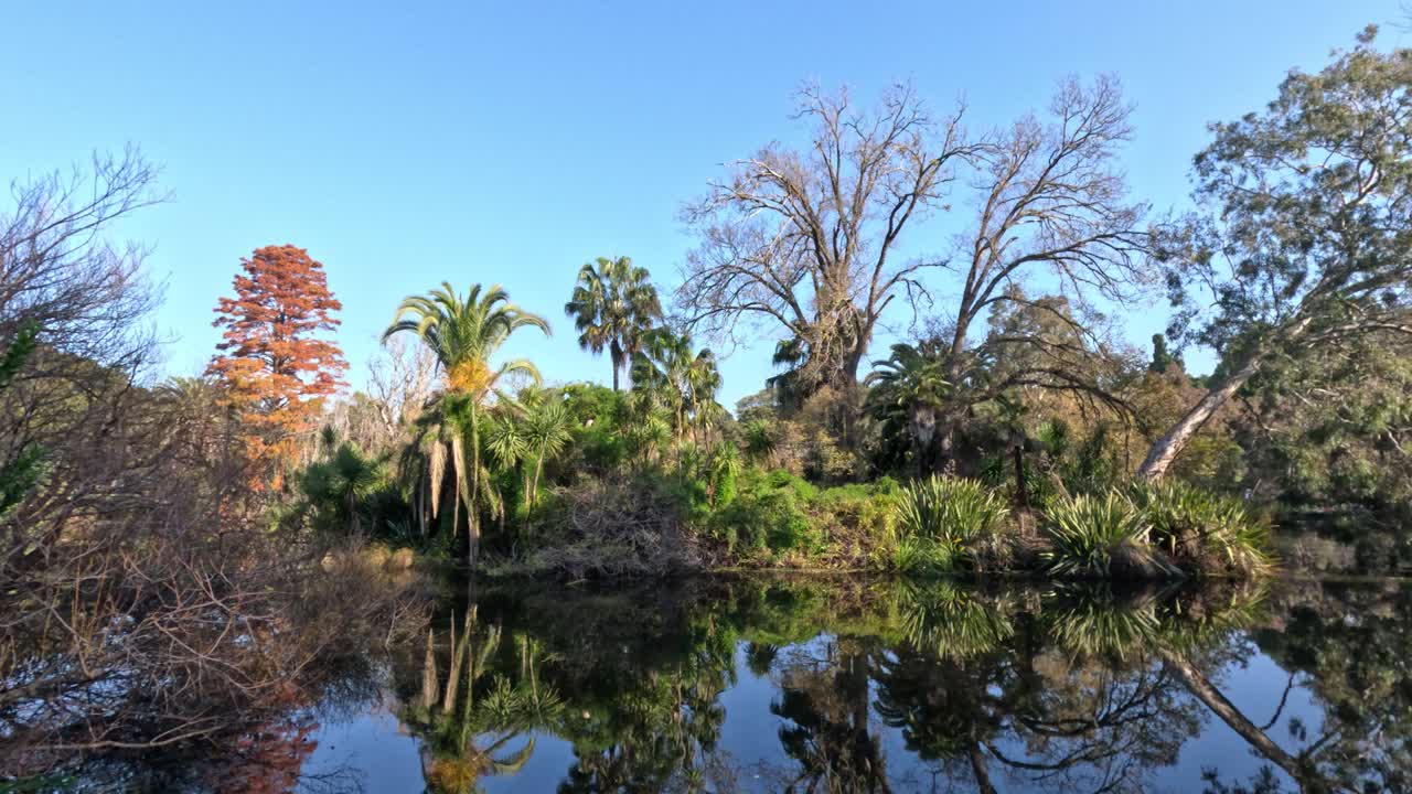un estanque sereno rodeado de follaje de otoño