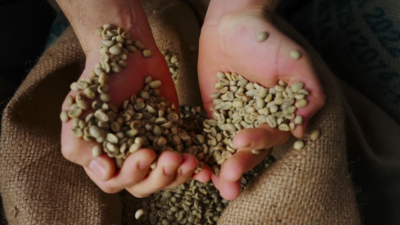 Hands Holding Green Coffee Beans