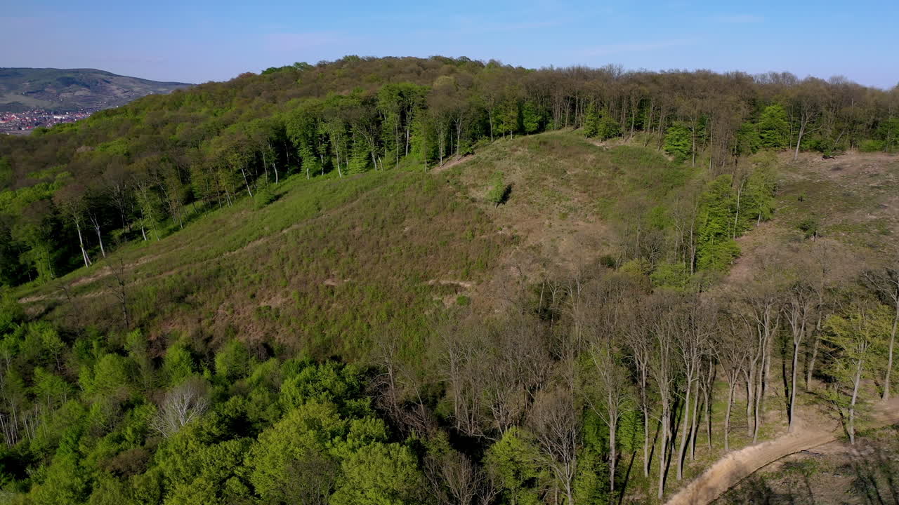 vista aérea desde el bosque en primavera