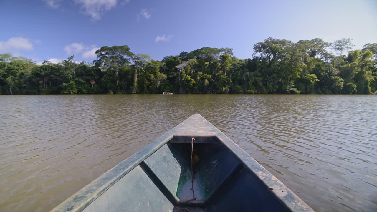 Beautiful Nature Scenery Of Lush Trees Under The Bright Blue Sky While On A Boat Ride At The Amazon River In Peru On A Summer Day - Wide Shot