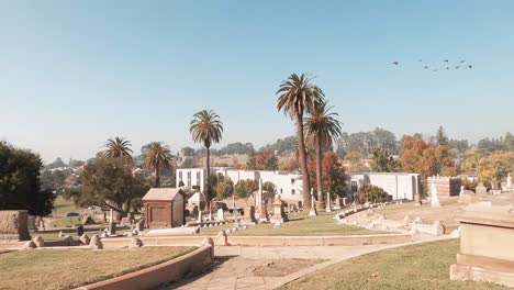 a very large cemetery on a foggy day in the morning.