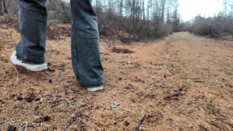 A-girl-walks-in-a-spring-gray-coniferous-forest