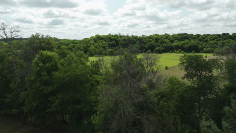 green trees and vast fields in oronoco, minnesota, usa - drone shot