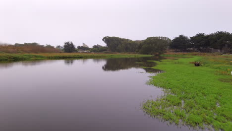 Flying-over-an-marshy-intertidal-zone-with-a-great-egret-hunting-for-food-along-the-shore-and-the-sky-reflecting-off-the-water