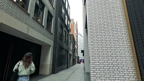 person strolling down a narrow city alley