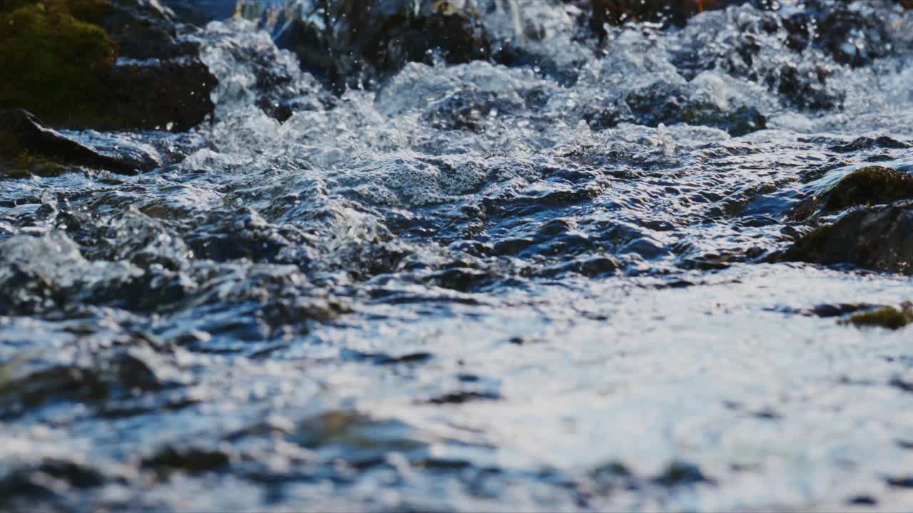 Riacho de montanha caudaloso flui sobre rochas musgosas. A água espirra e cintila sob a luz solar intensa. Água límpida e fria revela detalhes do leito rochoso do rio. Ideal para projetos de natureza, aventura ou viagens.