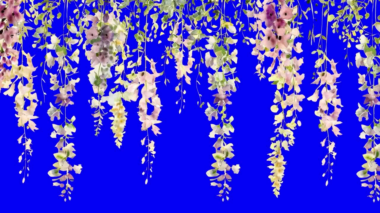Lebhafte hängende Blumenpracht Animation, transparentes 4K-Video, Greenscreen