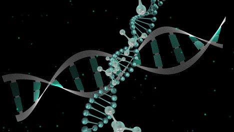 Animación-De-Micro-3d-De-Moléculas-Y-Hebras-De-Adn-Sobre-Fondo-Negro