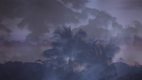 silueta de árboles y el cielo con nubes oscuras y relámpagos