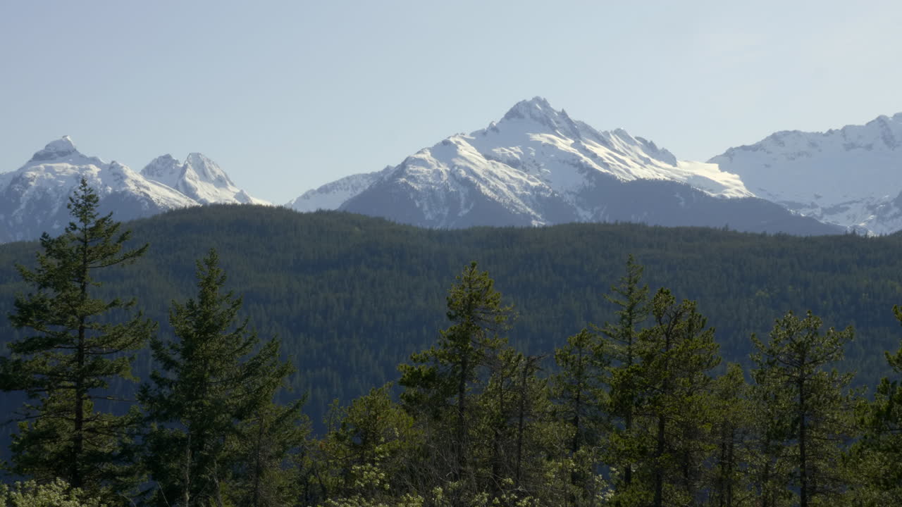 Splendido paesaggio selvaggio con montagne innevate e foresta.