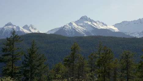 Beautiful-Wilderness-Landscape-with-Snowy-Mountains-and-Forest